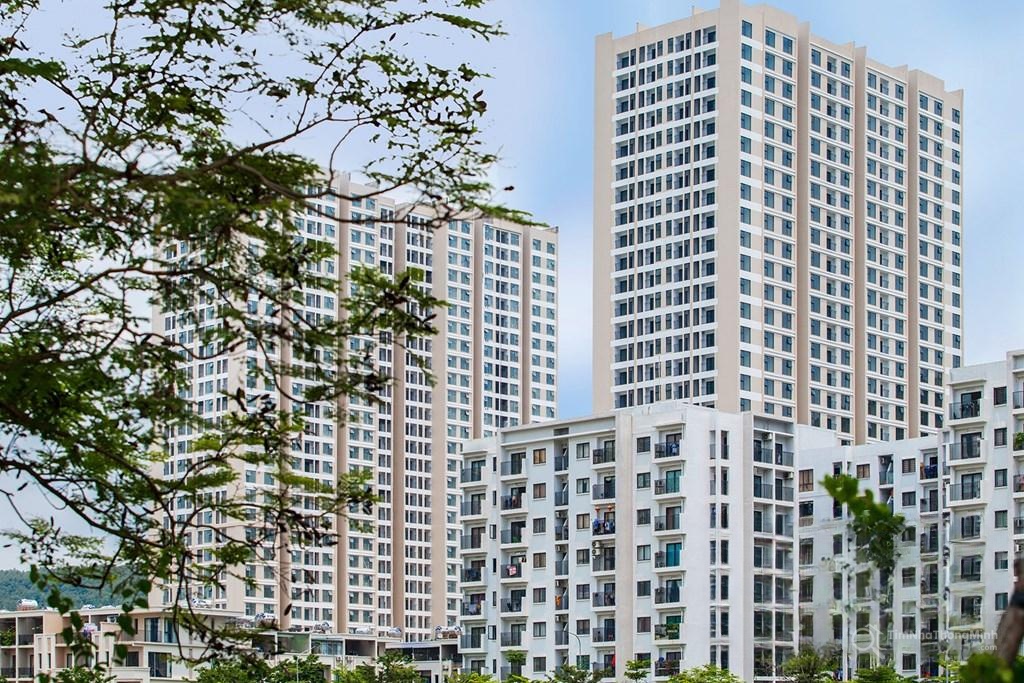 Hình ảnh chi tiết dự án