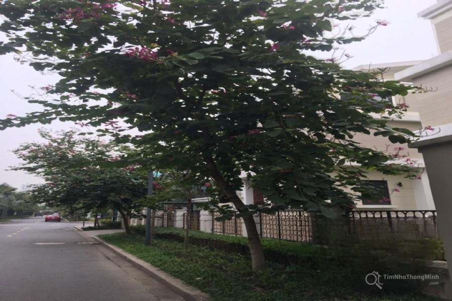 Hình ảnh chi tiết dự án