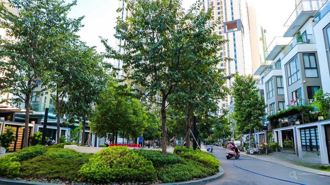 Hình ảnh chi tiết dự án