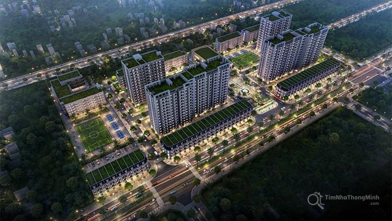 Chi tiết dự án