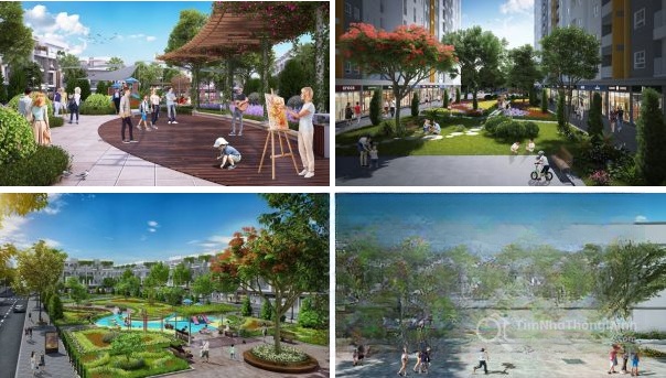 Chi tiết dự án