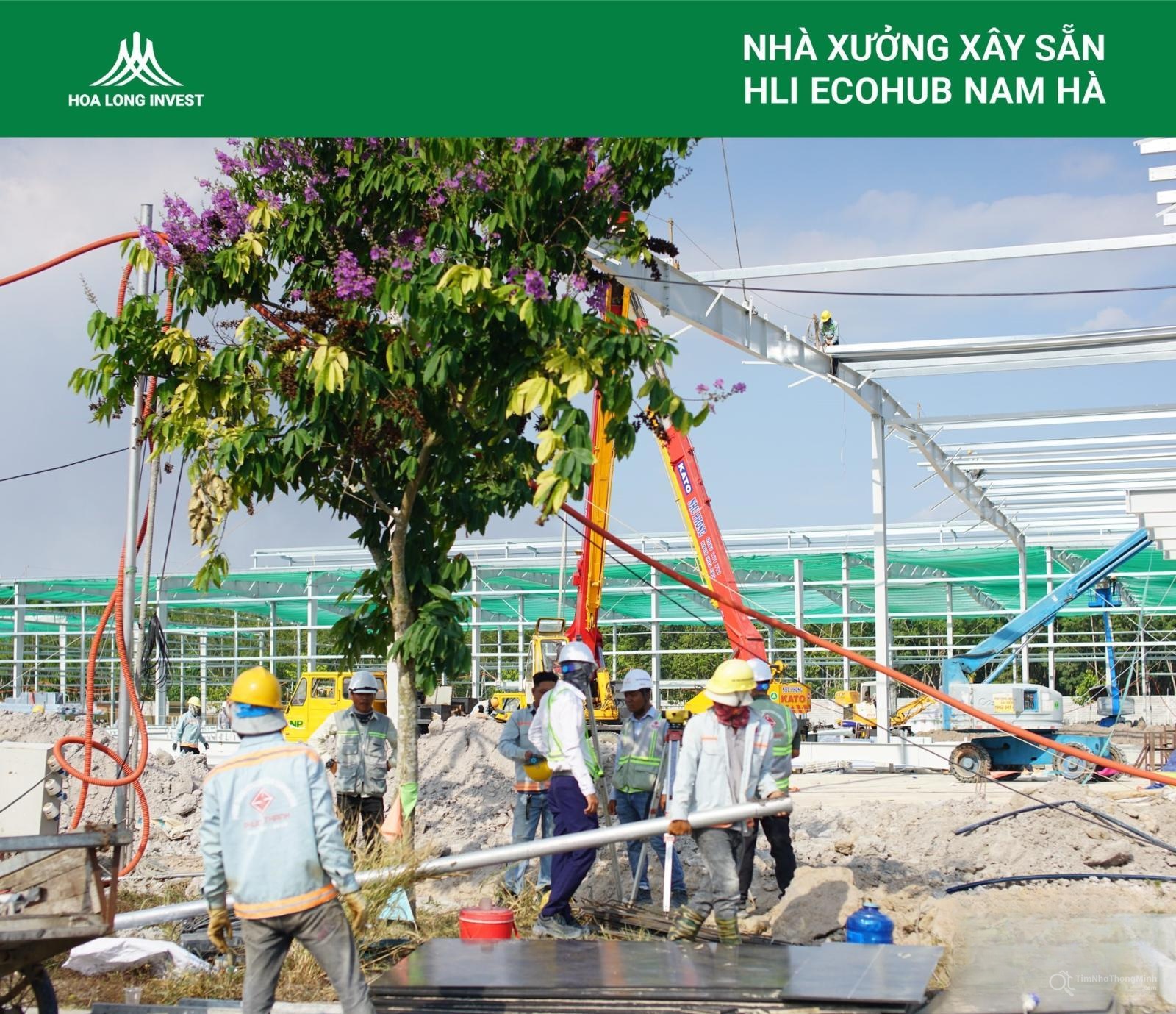 Chi tiết dự án