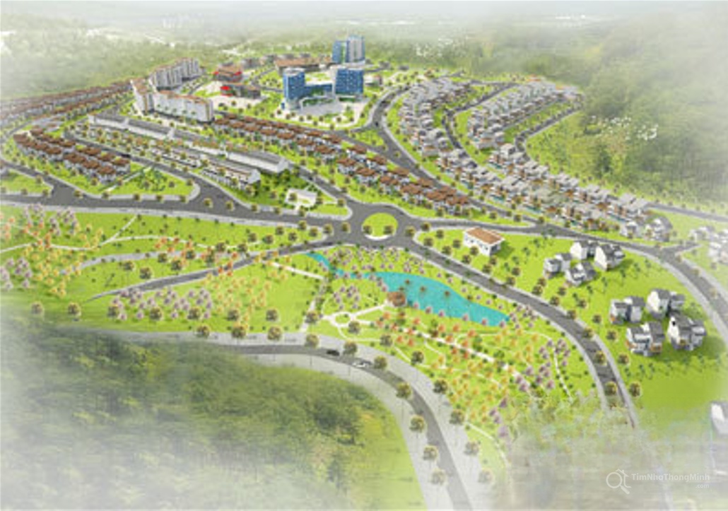 Chi tiết dự án