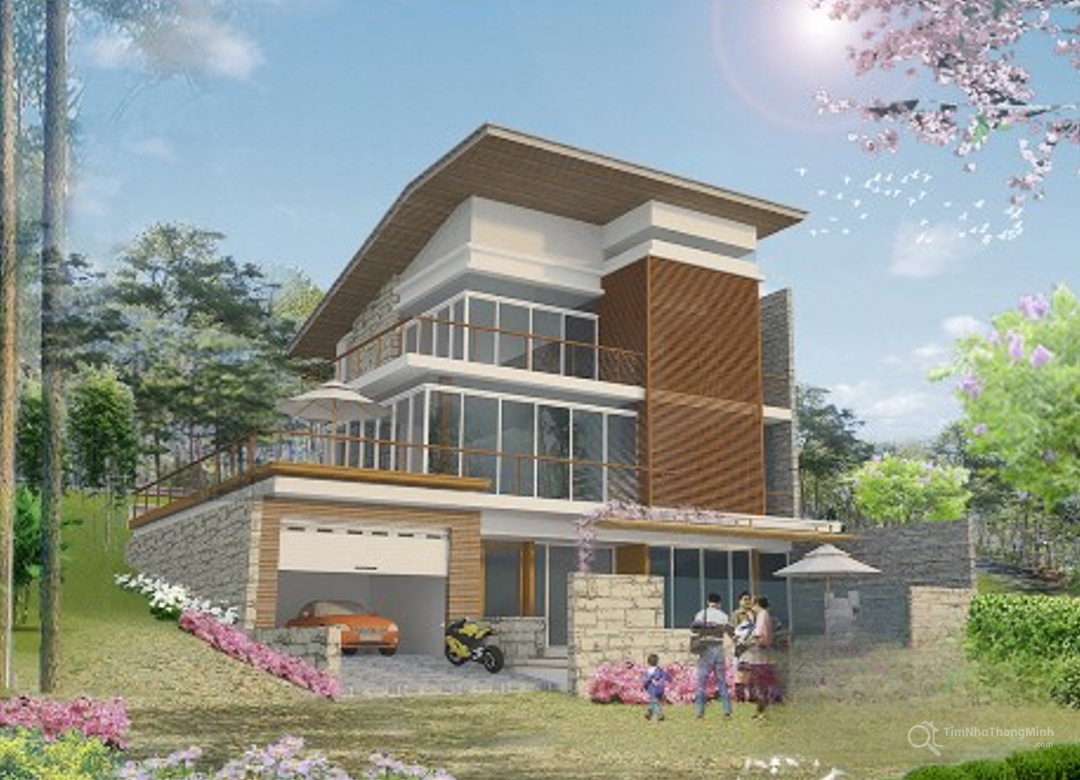 Chi tiết dự án