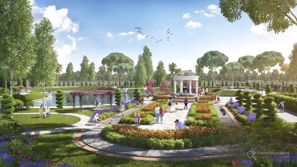 Chi tiết dự án