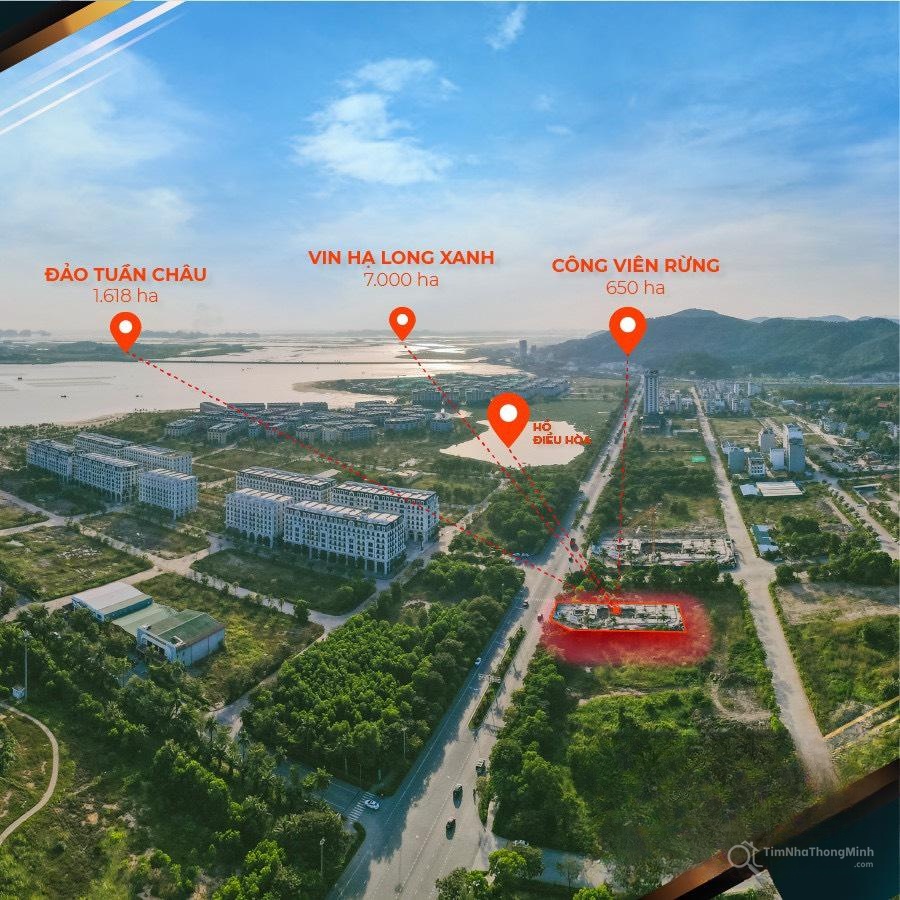 Hình ảnh chi tiết dự án