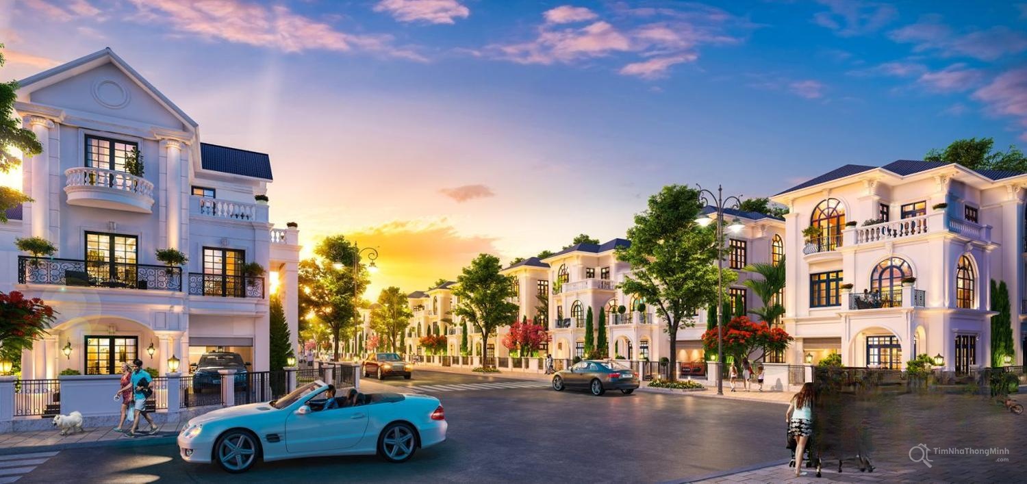 Chi tiết dự án