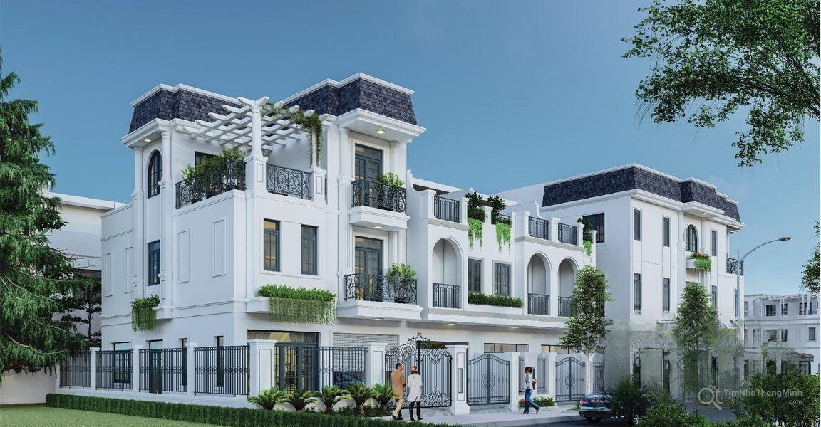 Chi tiết dự án