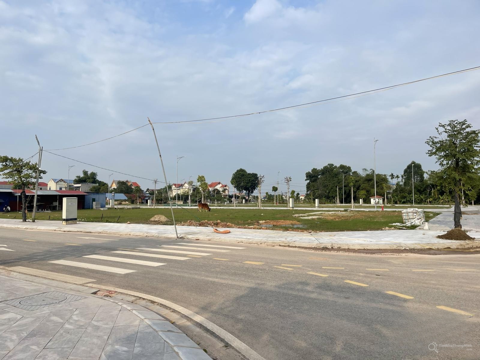 Hình ảnh chi tiết dự án
