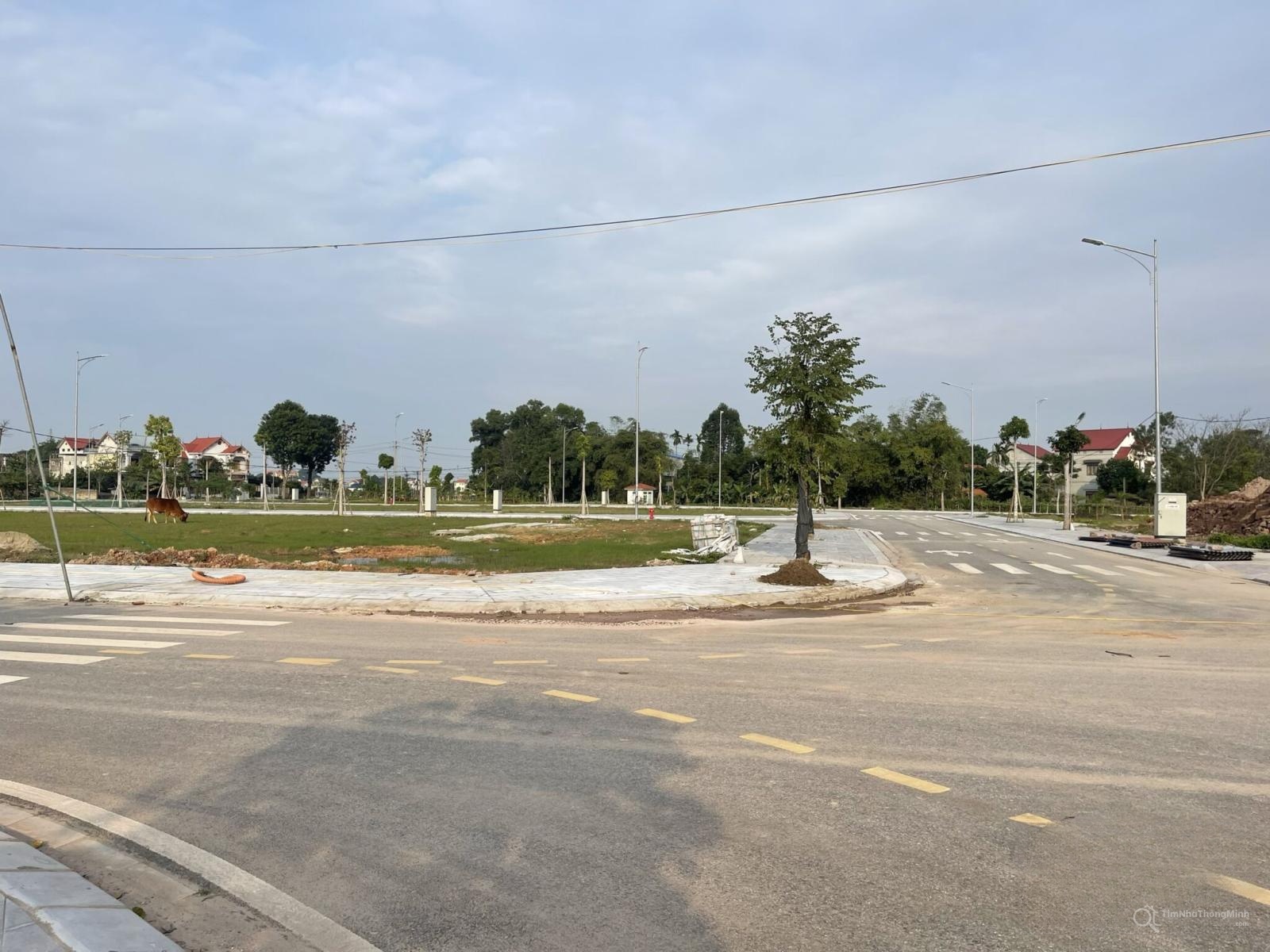 Hình ảnh chi tiết dự án