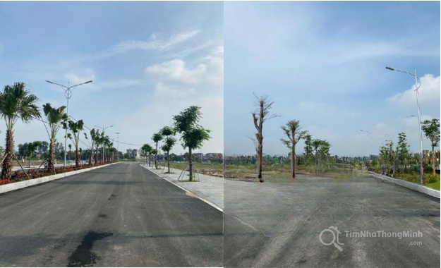 Hình ảnh chi tiết dự án