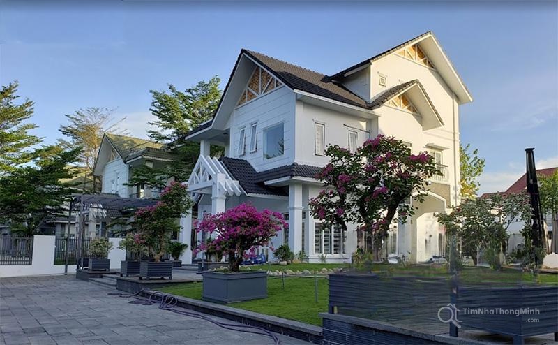 Chi tiết dự án