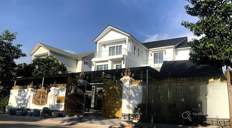 Chi tiết dự án