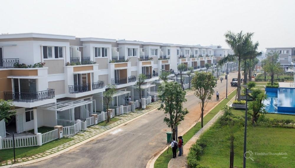 Chi tiết dự án