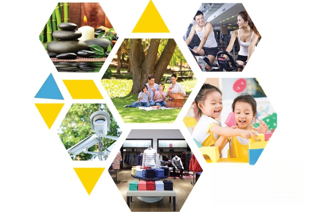Chi tiết dự án