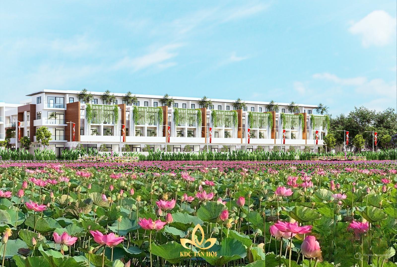 Hình ảnh chi tiết dự án