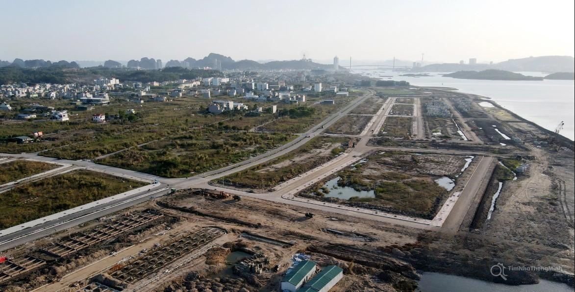 Chi tiết dự án