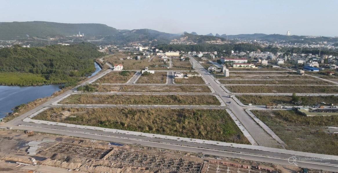 Chi tiết dự án