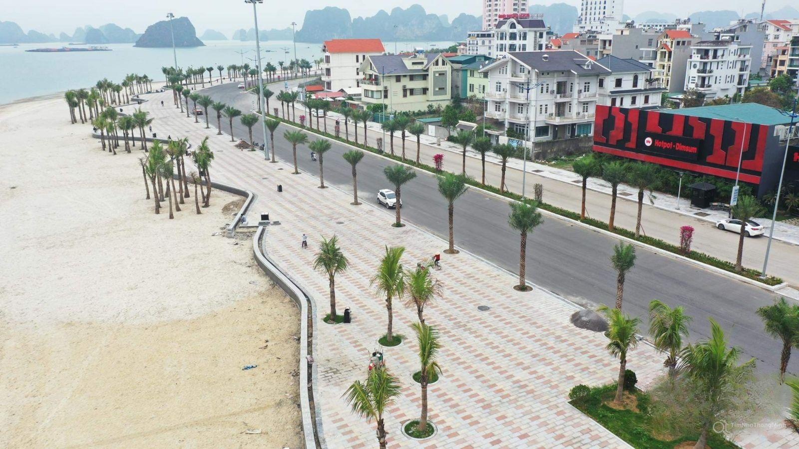 Hình ảnh chi tiết dự án