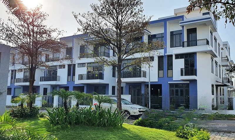 Chi tiết dự án