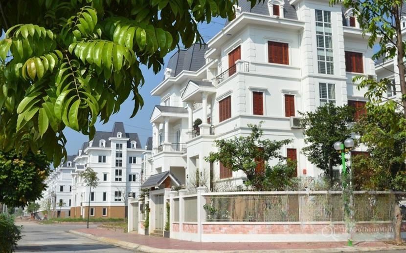 Chi tiết dự án