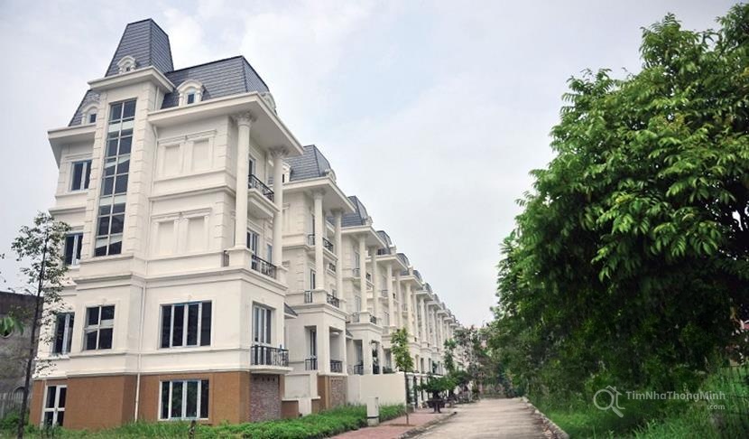Chi tiết dự án