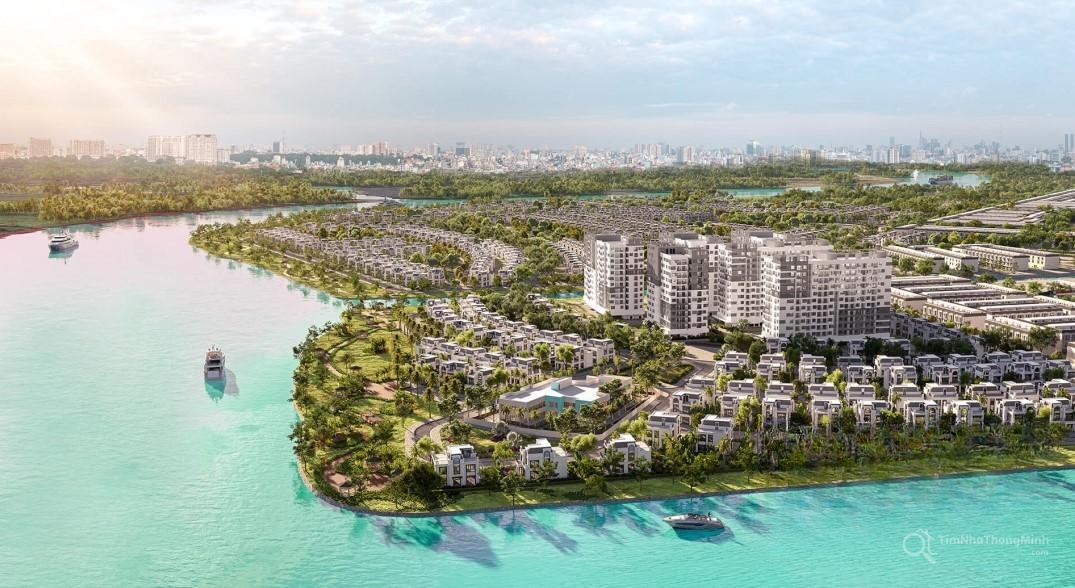 Chi tiết dự án