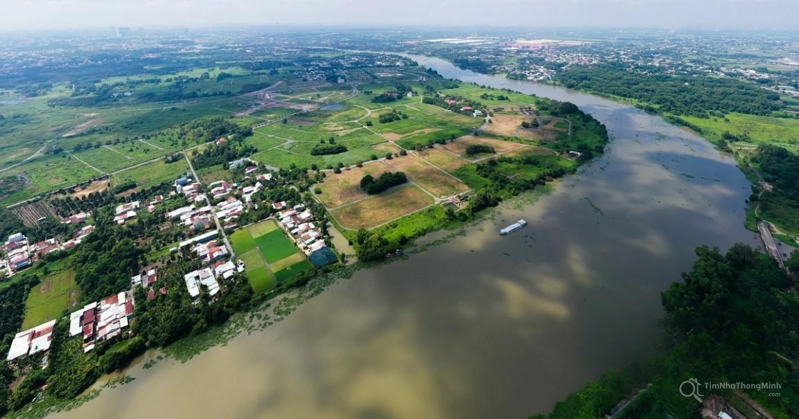 Chi tiết dự án