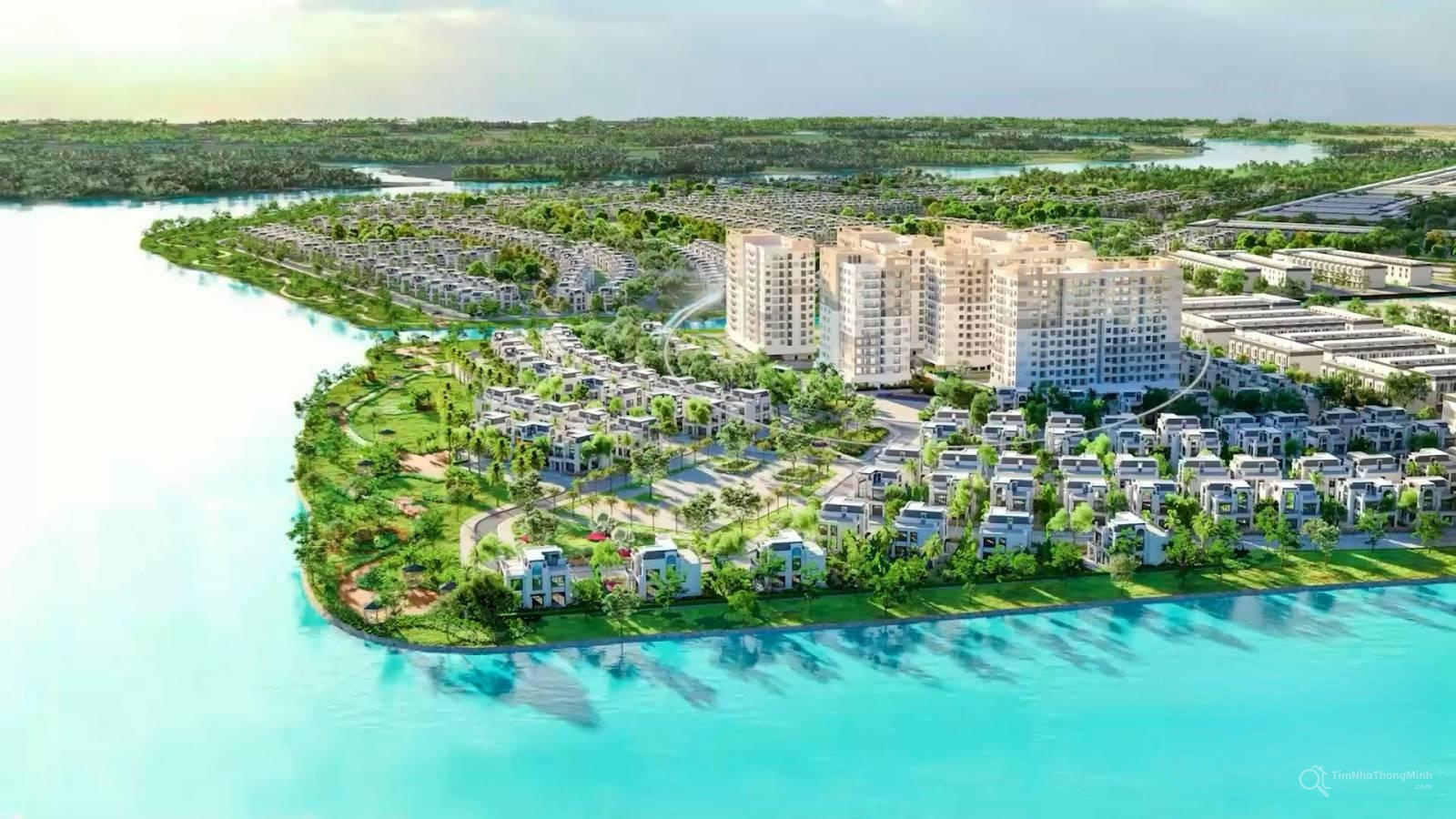 Chi tiết dự án