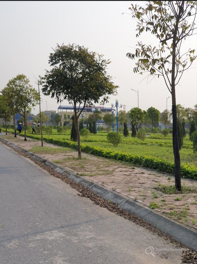 Hình ảnh chi tiết dự án