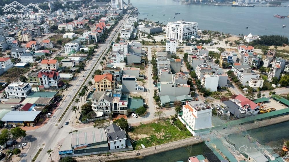 Chi tiết dự án