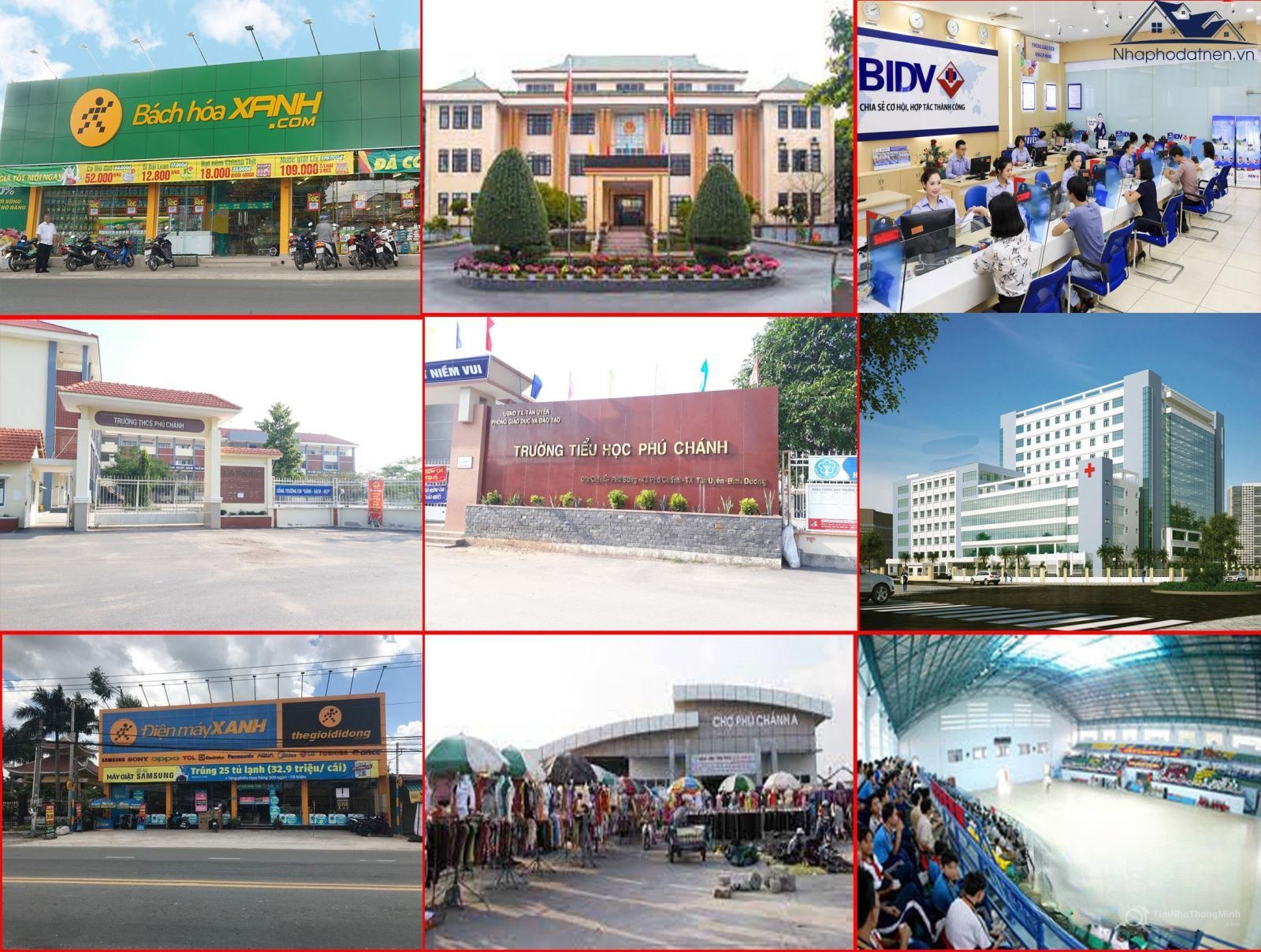 Chi tiết dự án