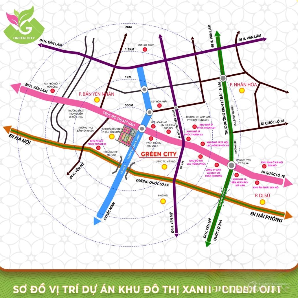 Chi tiết dự án