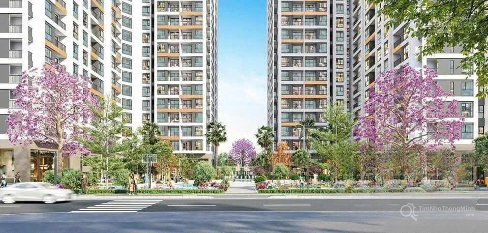Chi tiết dự án