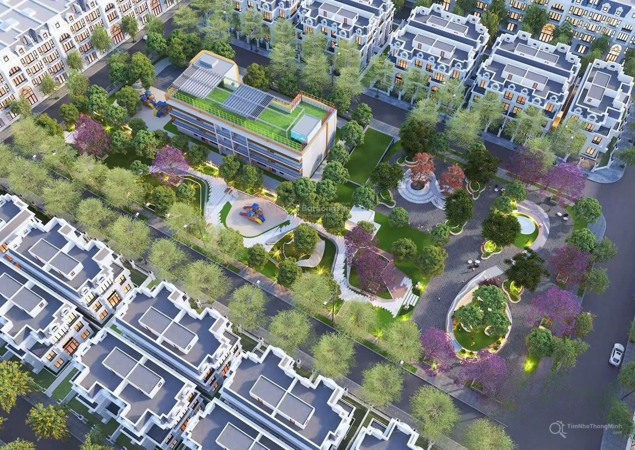 Chi tiết dự án