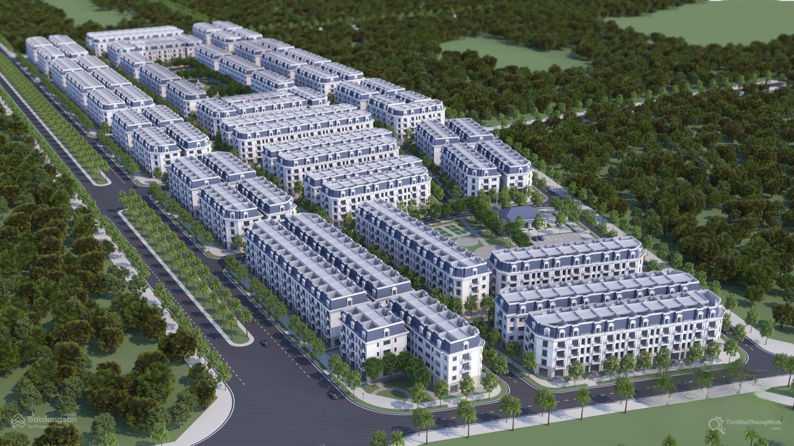 Chi tiết dự án