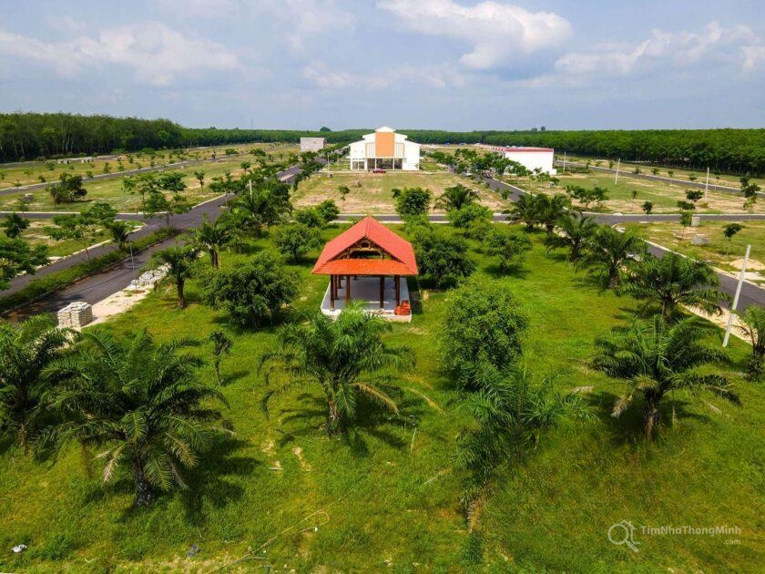 Chi tiết dự án