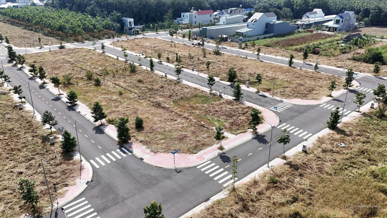 Chi tiết dự án