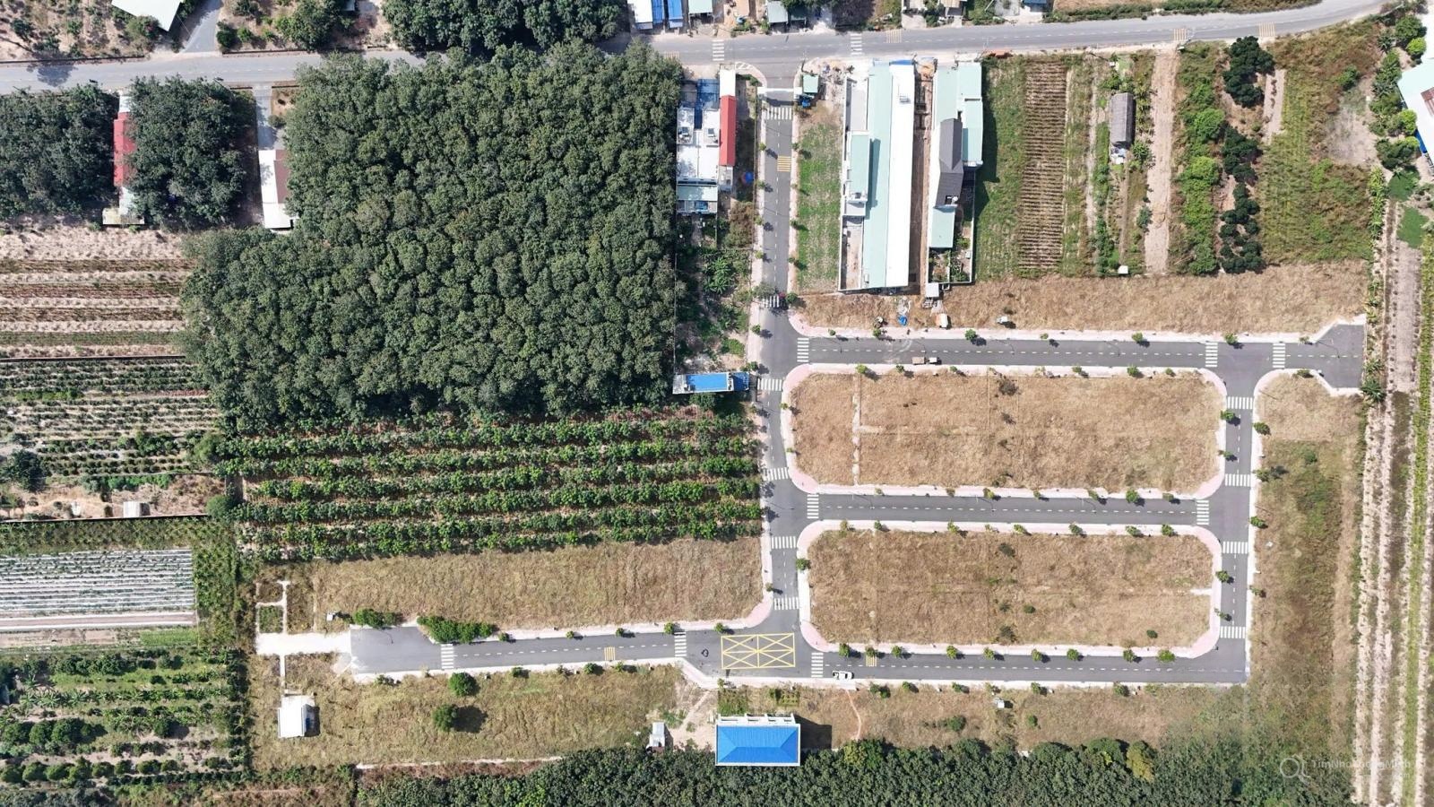 Chi tiết dự án