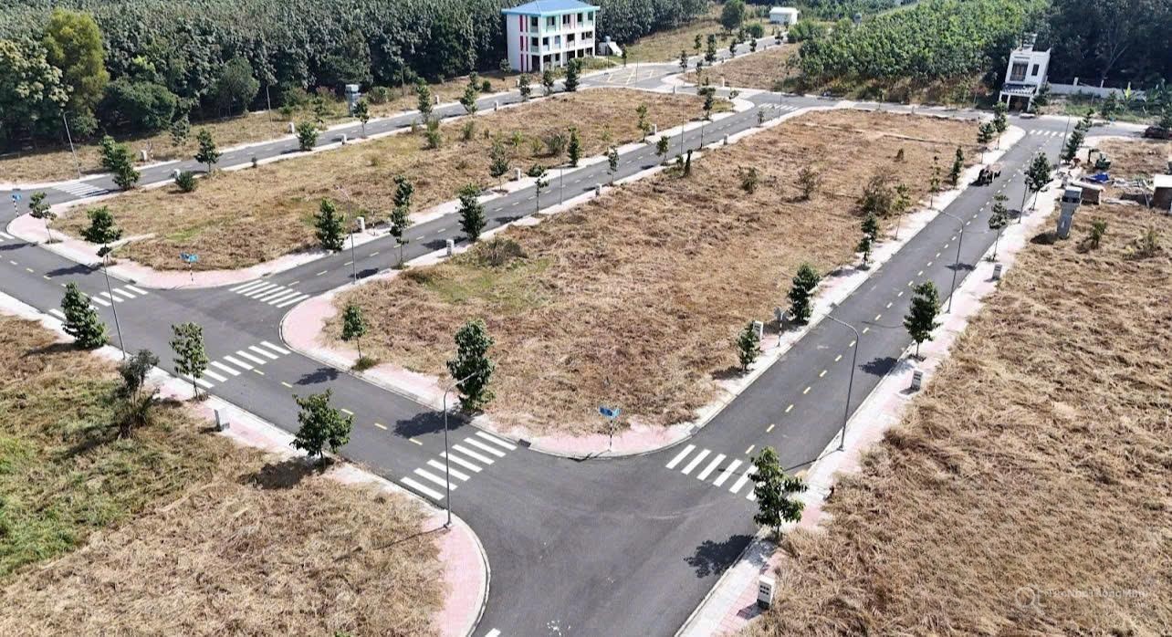 Chi tiết dự án
