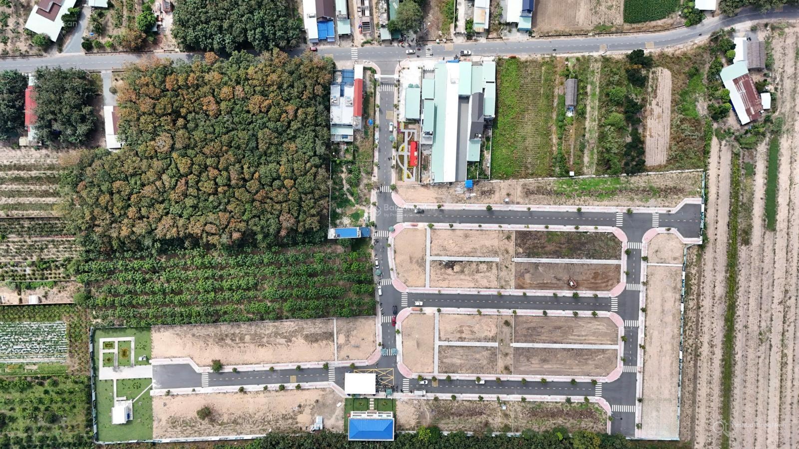 Chi tiết dự án