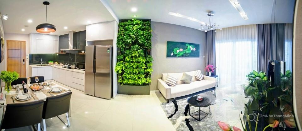 Hình ảnh chi tiết dự án