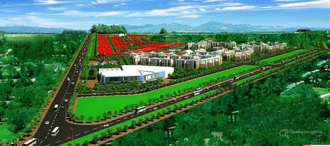 Chi tiết dự án
