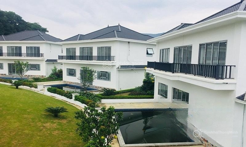 Chi tiết dự án