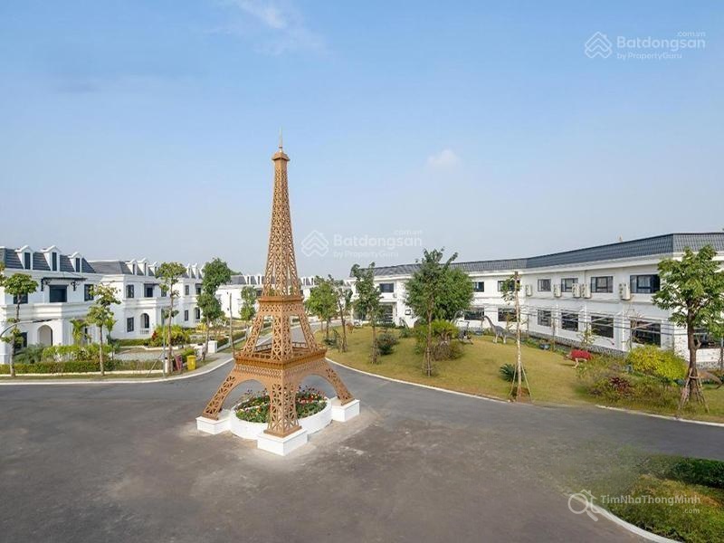 Chi tiết dự án