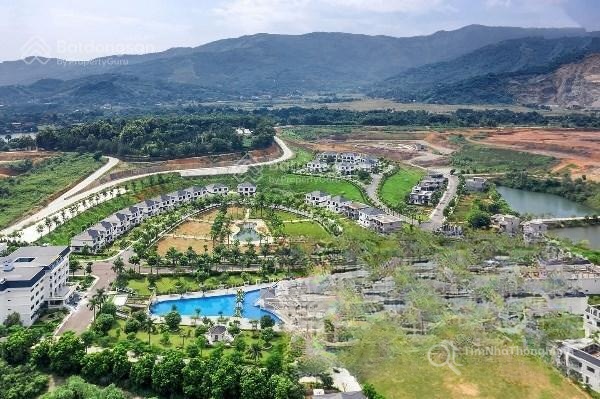 Chi tiết dự án