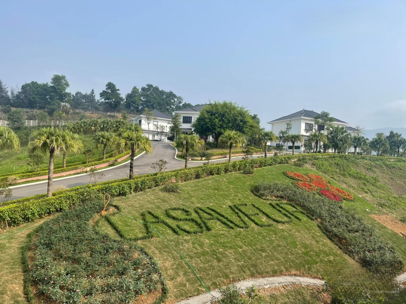 Chi tiết dự án