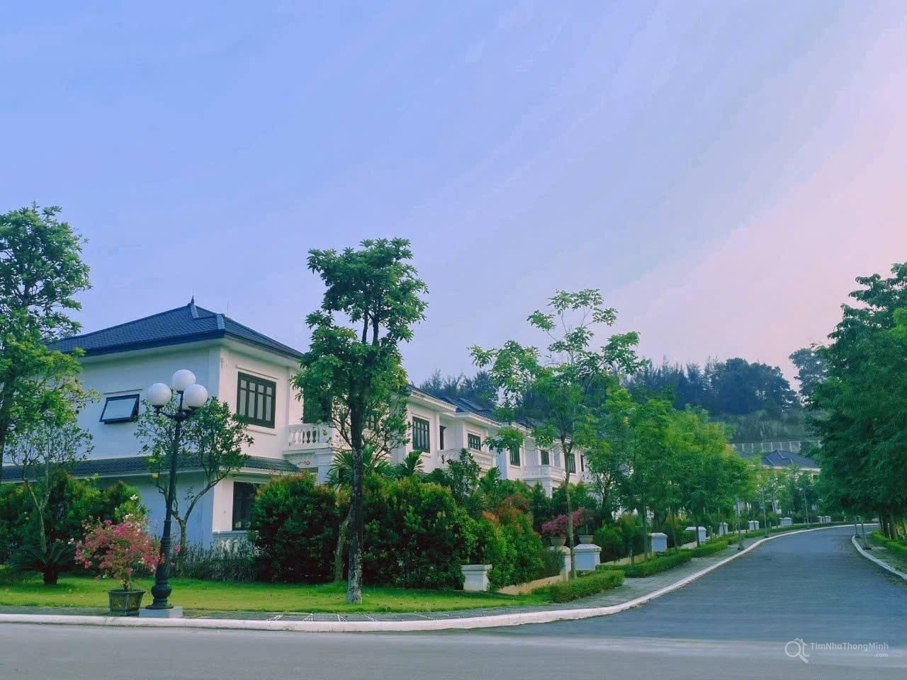 Chi tiết dự án