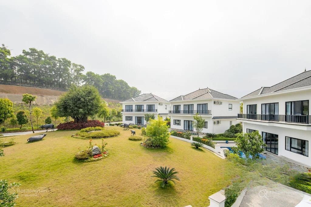 Chi tiết dự án