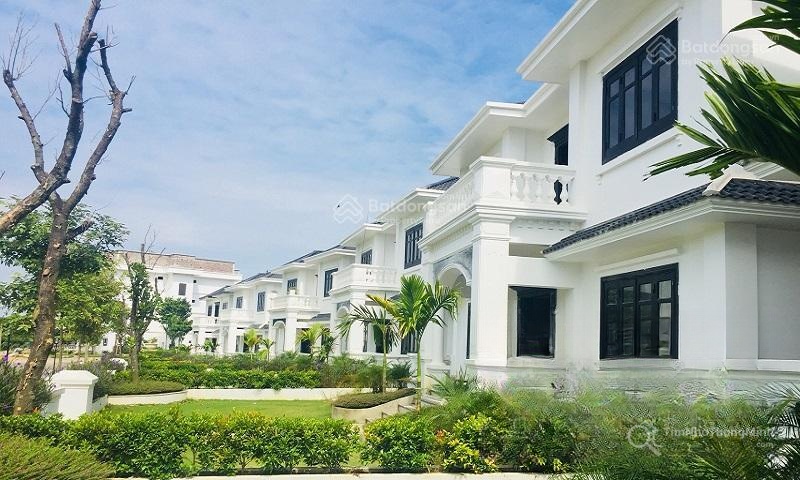 Chi tiết dự án